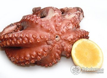 Octopus - proprietăți utile și valoare nutritivă