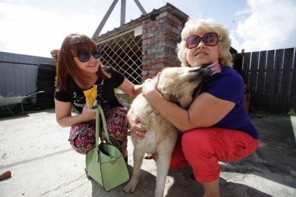 Câinele a surprins și a atins pe toată lumea cu fidelitatea sa