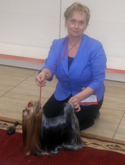 Bajnok Kennel Krasnoyarsk gyöngy - téma megtekintése - All-Russian kiállítás Abakan április 11! (a veszettség kötelező a városon kívüliek számára) Bajnok Kennel Krasnoyarsk gyöngy - téma megtekintése - All-Russian kiállítás Abakan április 11!