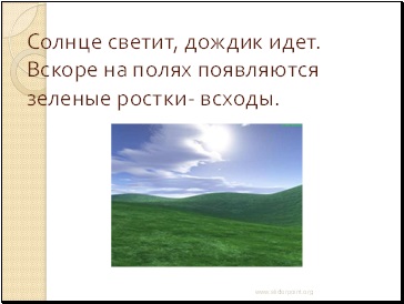 Чому людина не може обійтися без хліба