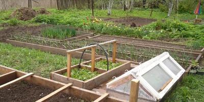 Solicitați lățimea optimă a patului de grădină cu garduri - răspunsurile experților