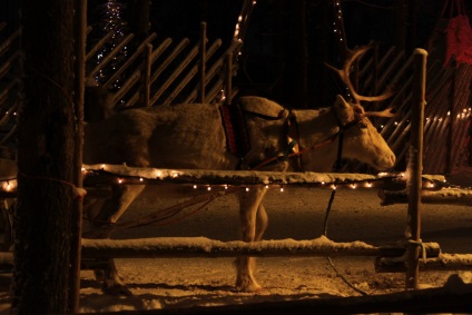 O călătorie în Laponia către Mos Craciun