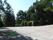 A Foros Park természeti kincse