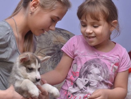 Putin ia dat fetei de la Haksi catelusul Khakassia