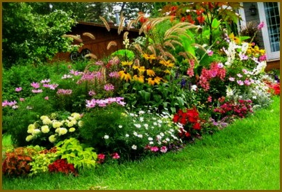 Greșeli comune în crearea de grădini de flori în grădină