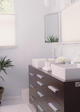 Plante pentru o baie fără ferestre și cu ferestre, culori posibile - viața mea