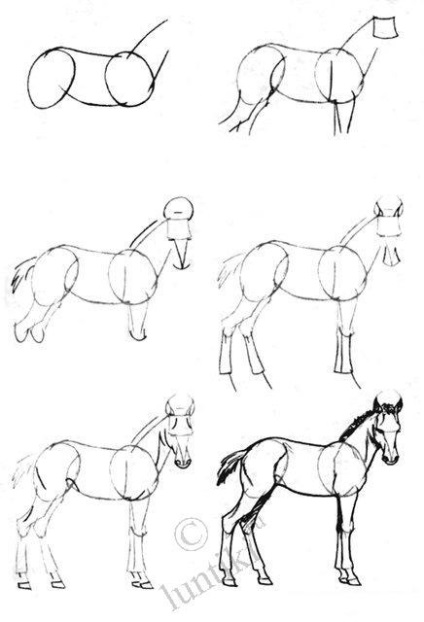Află! Cum de a desena un cal în creion pas cu pas