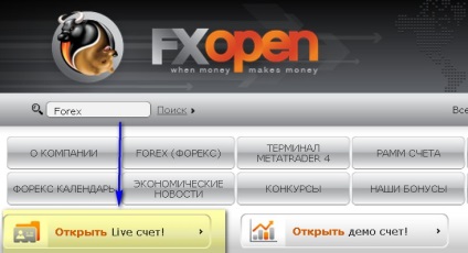 Înregistrarea în fxopen, portal de profit - portal de informații despre câștigurile și investițiile în Internet