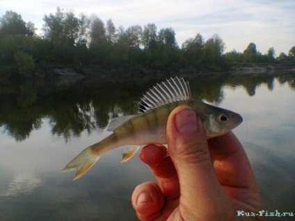 Pescuitul pescăresc - pescuitul pe malul râului Altai