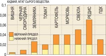 Az út, a tudomány és az élet kertje