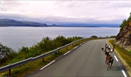 Cele mai incredibile fotografii cu vizualizarea pe strada Google