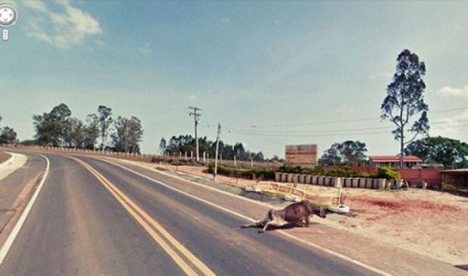 Cele mai incredibile fotografii cu vizualizarea pe strada Google