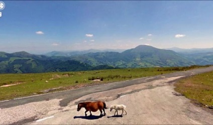 Cele mai incredibile fotografii cu vizualizarea pe strada Google