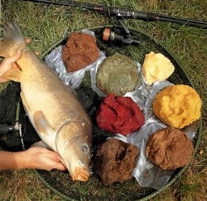 Secretele de momeală de gătit pentru pește »