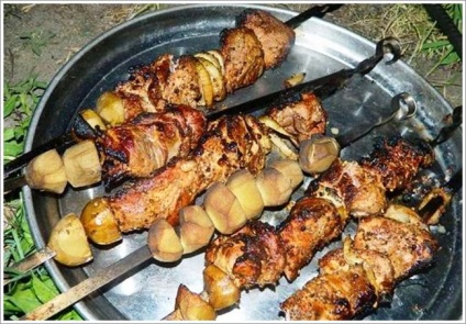 Shish kebab într-o fum de carne de porc - carne gustoasă pentru gurmanzi