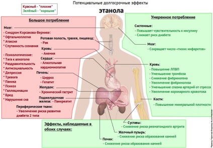 Korsakov sindrom de cauză, principiile de tratament și de diagnostic