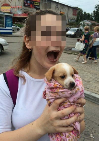 Smi, doi studenți din Khabarovsk au dezmembrat animalele date în mâini bune (foto) - știri