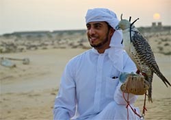 Falconry - o vizită care merită văzută, 