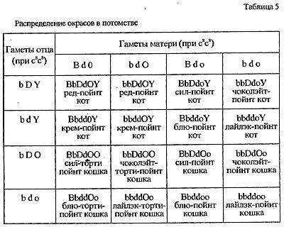 Compilarea și citirea formulelor genetice de culoare