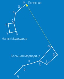 Constellation este un urs mare pe site-ul lui Igor Garshin