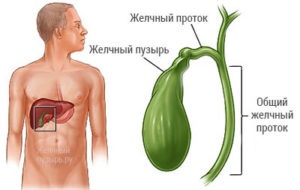 Salvați vezica biliară vă ajută - nutriție, sfaturi și rețete