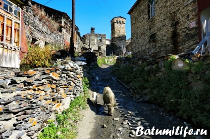 Svaneti și Mestia Atracții, fotografii, hartă