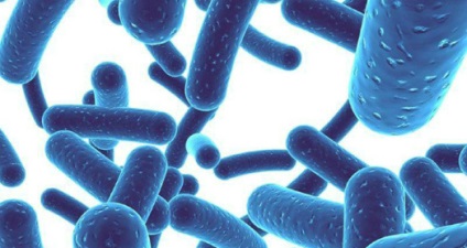 Pentru a întări sistemul imunitar și pentru a îmbunătăți organismul în ansamblul său va ajuta la fermentarea cu bifidobacterii pentru