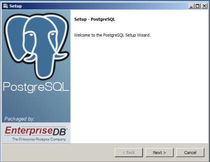 Instalați postgresql 9