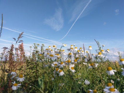 În sat, în pustie, în Ivankovo ​​sau în ecoturism în cartierul Yasnogorsk din regiunea Tula