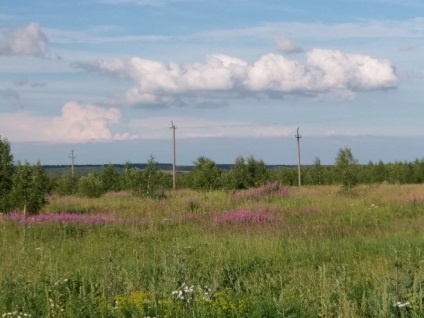 În sat, în pustie, în Ivankovo ​​sau în ecoturism în cartierul Yasnogorsk din regiunea Tula