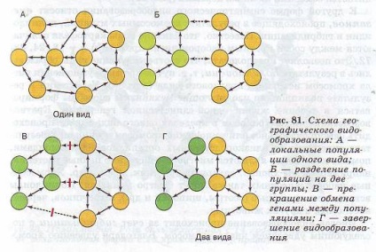 Az evolúció fajta