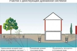 Високи подпочвени води в района, за да се определи методи за ниво