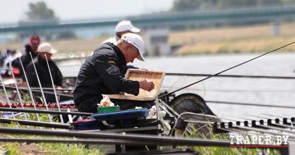 Minden, amit a pórázról tudni akar