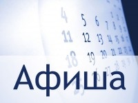 У столиці Забайкалля відбудеться міжнародна виставка кішок - суспільство - новини - сайт