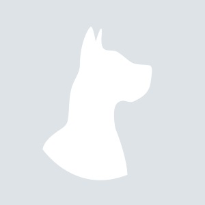 Dél-orosz sztyeppes kutyafajta, fotó