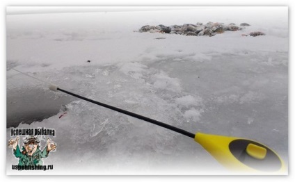 Pescuitul de iarnă pe lacul yanyk din apropierea orașului Tyumen, pescuitul reușit