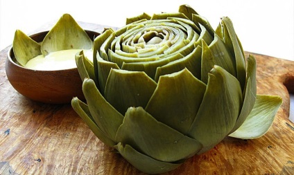 Artichoke - aplicație, proprietăți utile, cultivare, îngrijire