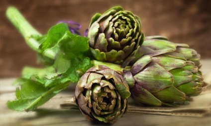 Artichoke - aplicație, proprietăți utile, cultivare, îngrijire