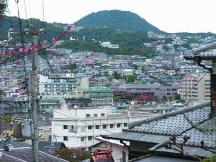 Arhitectura din Japonia - proiect de cabane, proiectare, proiecte gata, proiecte tipice de case de tara