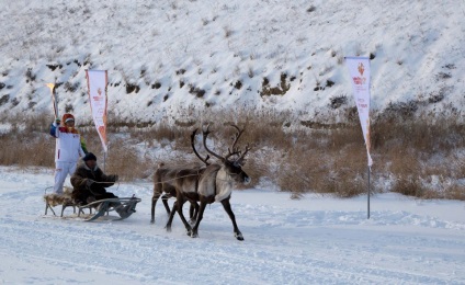 Ce se întâmplă când flacăra olimpică iese - pasărea în zbor