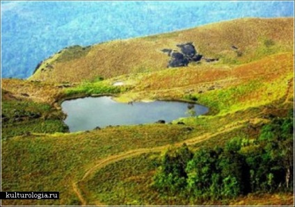 Nouă inimi în natură 1