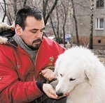 Training - primii pași - dogweb - știri câine