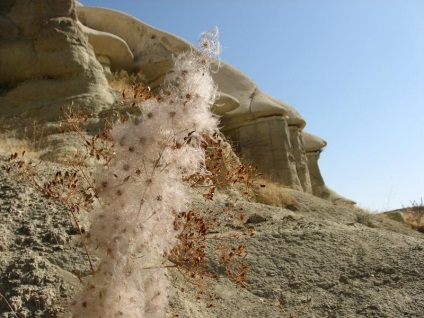 Fantastic Cappadocia