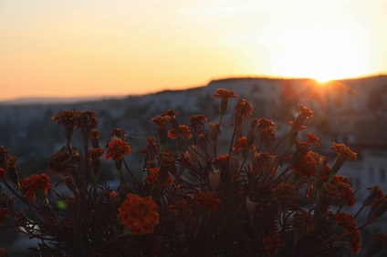 Fantastic Cappadocia