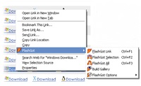 Descărcați Flash în limba engleză pentru Windows 7