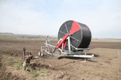 Din cauza vremii ploioase, agrarii din Pervouralsk nu au avut timp să planteze cartofii la timp, știrile orașului