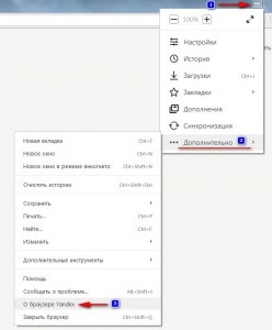 Cum să actualizați browserul Yandex la ultima versiune