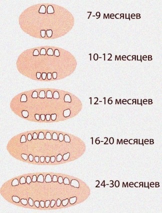 Cum să înțelegeți că dinții copilului sunt dentitori