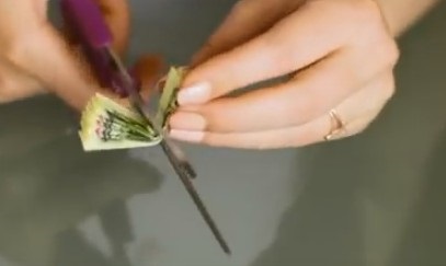 Cum de a face un topiary cu propriile mâini pas-cu-pas instrucțiuni pentru începători