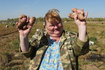 La cine știți cartofii de știri rusia despre zinsk, republica Komi, Rusia